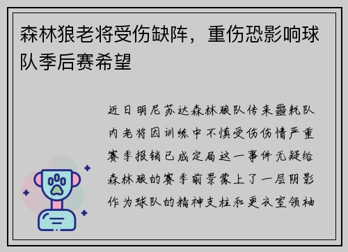 森林狼老将受伤缺阵，重伤恐影响球队季后赛希望